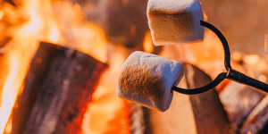 marshmellows roasting in fire pit